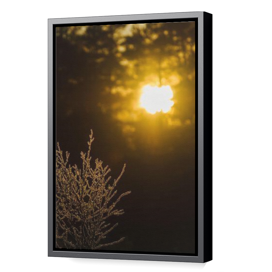 Thumbnail for Canvas - Black Floating Frame