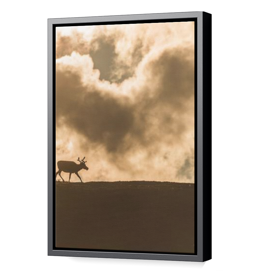 Thumbnail for Canvas - Black Floating Frame