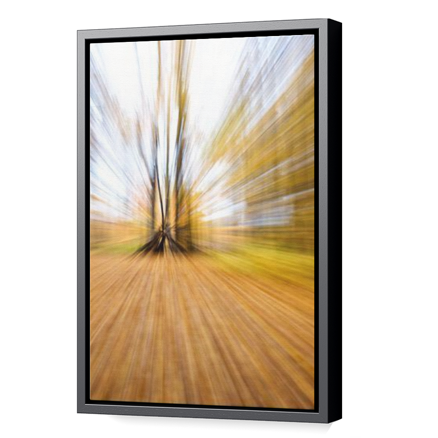 Thumbnail for Canvas - Black Floating Frame