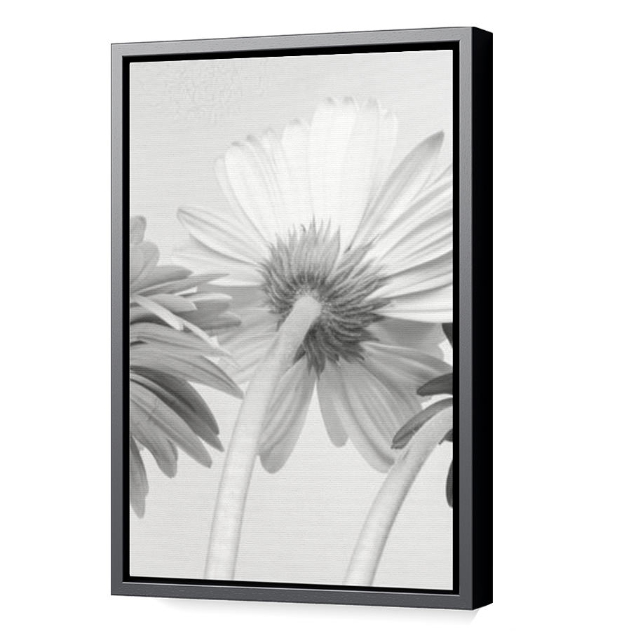 Thumbnail for Canvas - Black Floating Frame