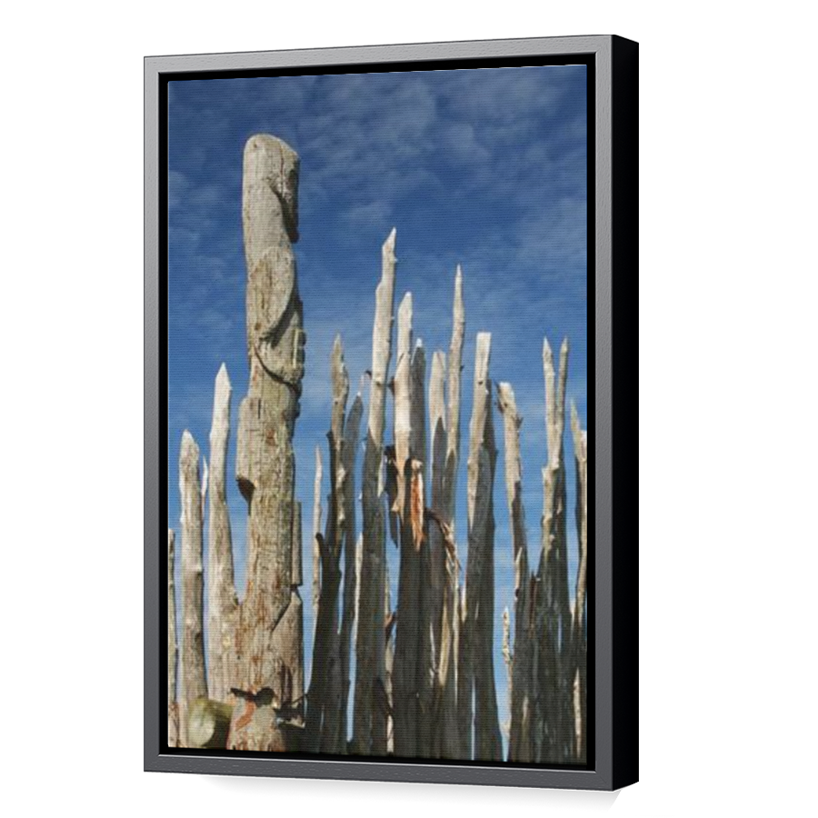 Thumbnail for Canvas - Black Floating Frame