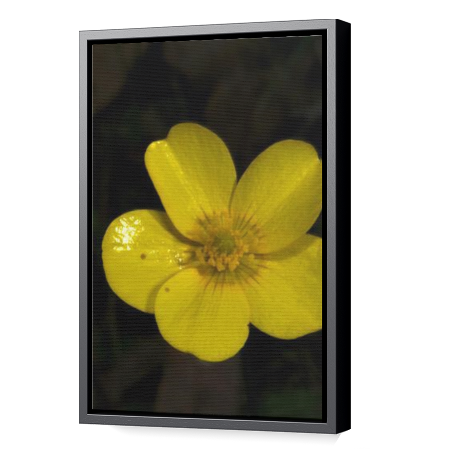 Thumbnail for Canvas - Black Floating Frame