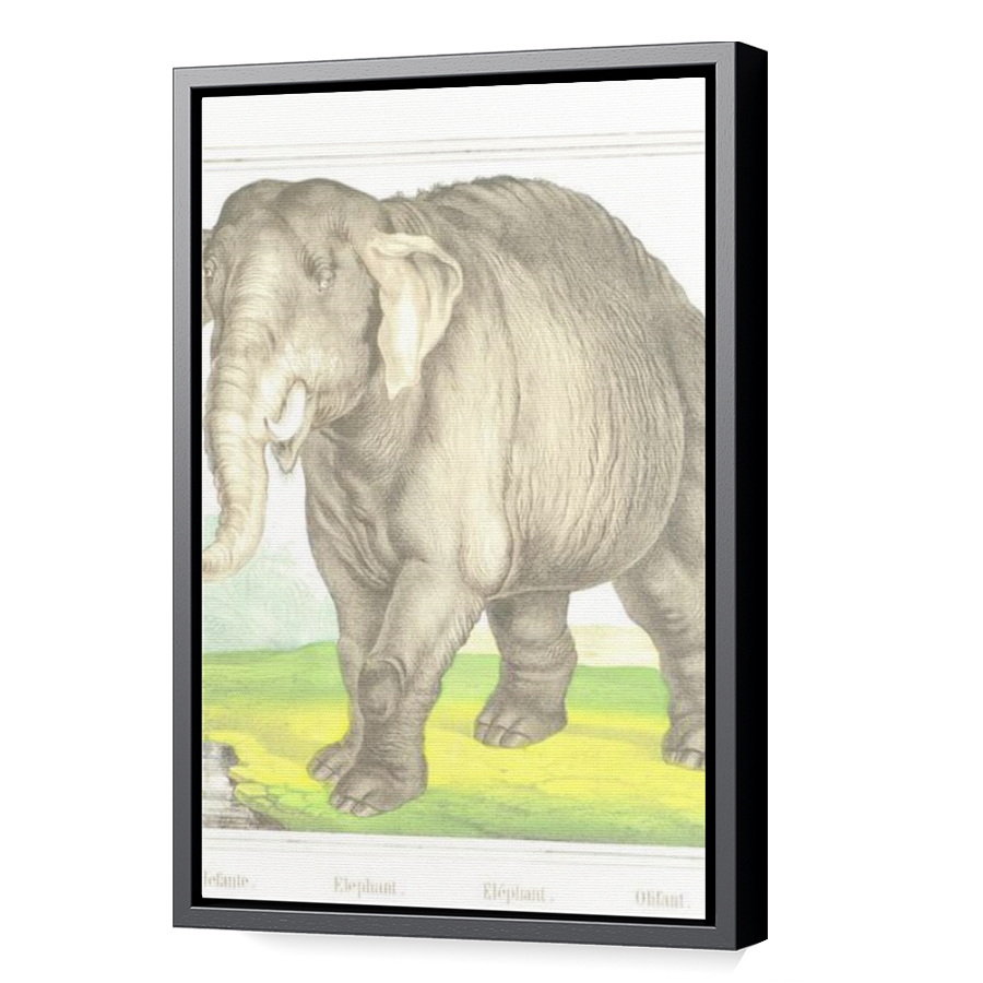 Thumbnail for Canvas - Black Floating Frame