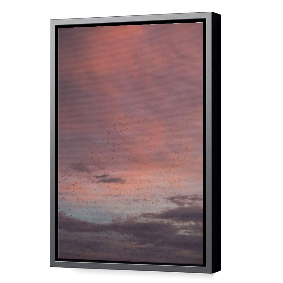 Thumbnail for Canvas - Black Floating Frame