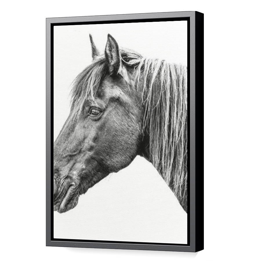Thumbnail for Canvas - Black Floating Frame