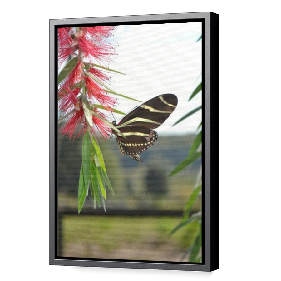 Thumbnail for Canvas - Black Floating Frame