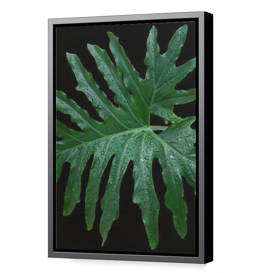 Thumbnail for Canvas - Black Floating Frame
