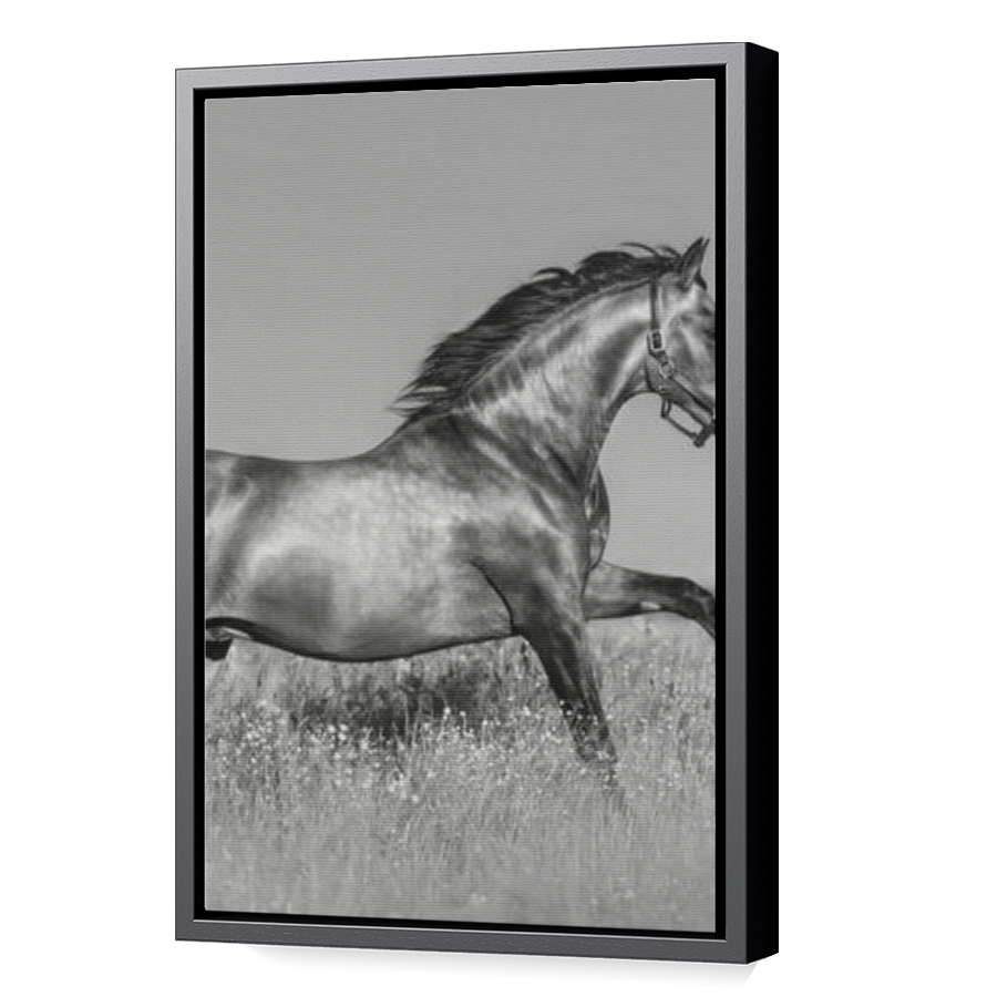 Thumbnail for Canvas - Black Floating Frame