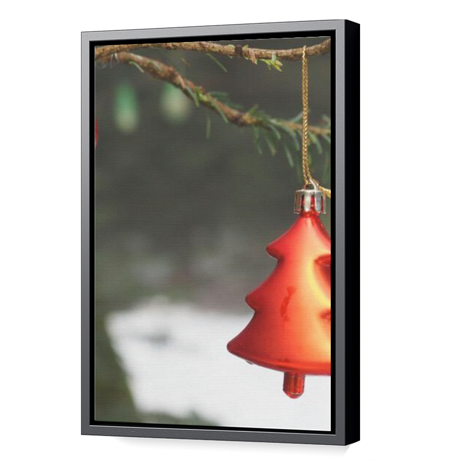 Thumbnail for Canvas - Black Floating Frame