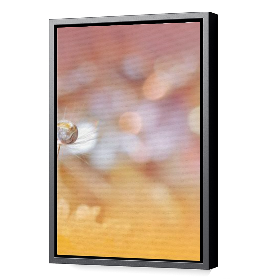 Thumbnail for Canvas - Black Floating Frame