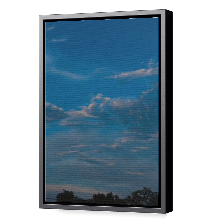 Thumbnail for Canvas - Black Floating Frame