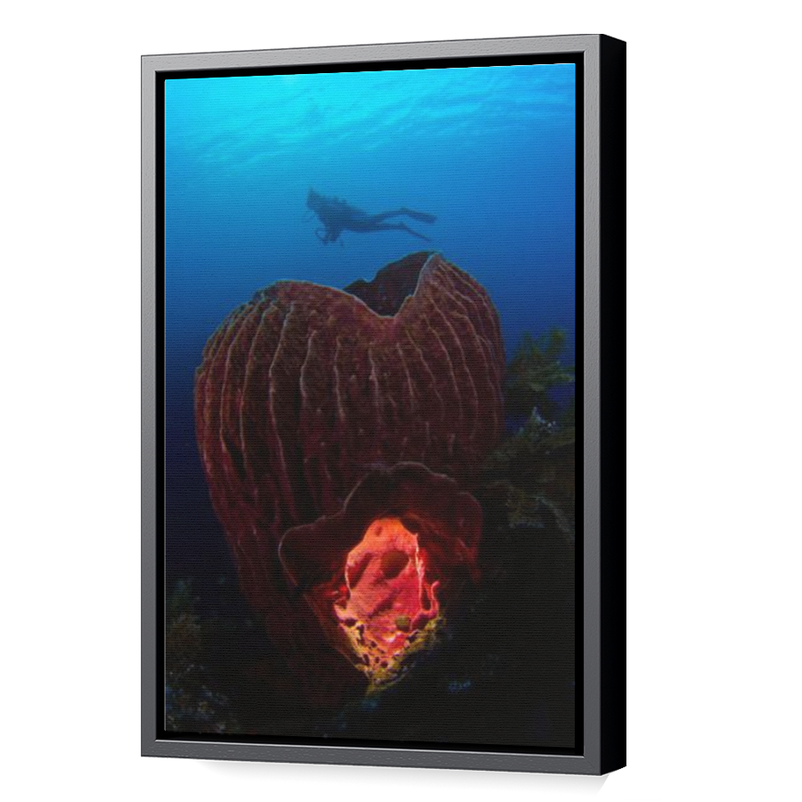 Thumbnail for Canvas - Black Floating Frame
