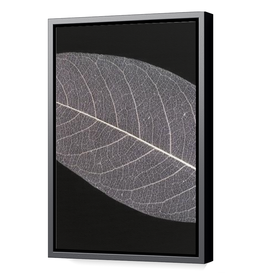 Thumbnail for Canvas - Black Floating Frame