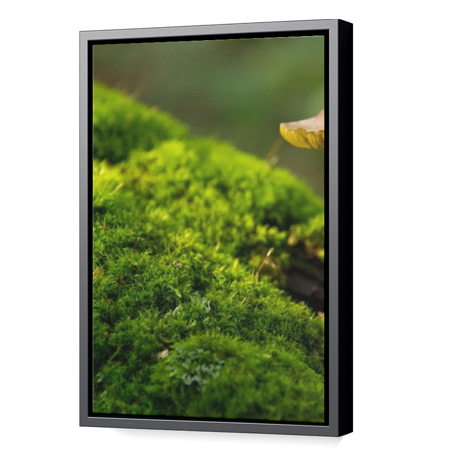 Thumbnail for Canvas - Black Floating Frame