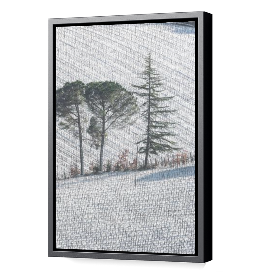 Thumbnail for Canvas - Black Floating Frame