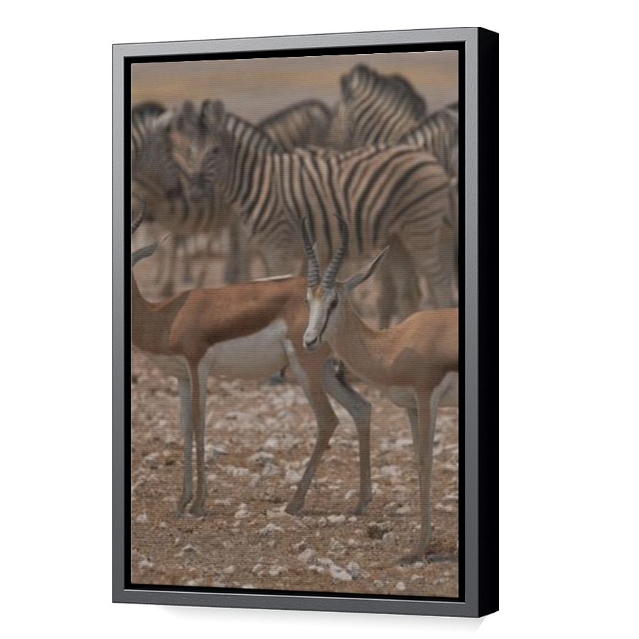 Thumbnail for Canvas - Black Floating Frame