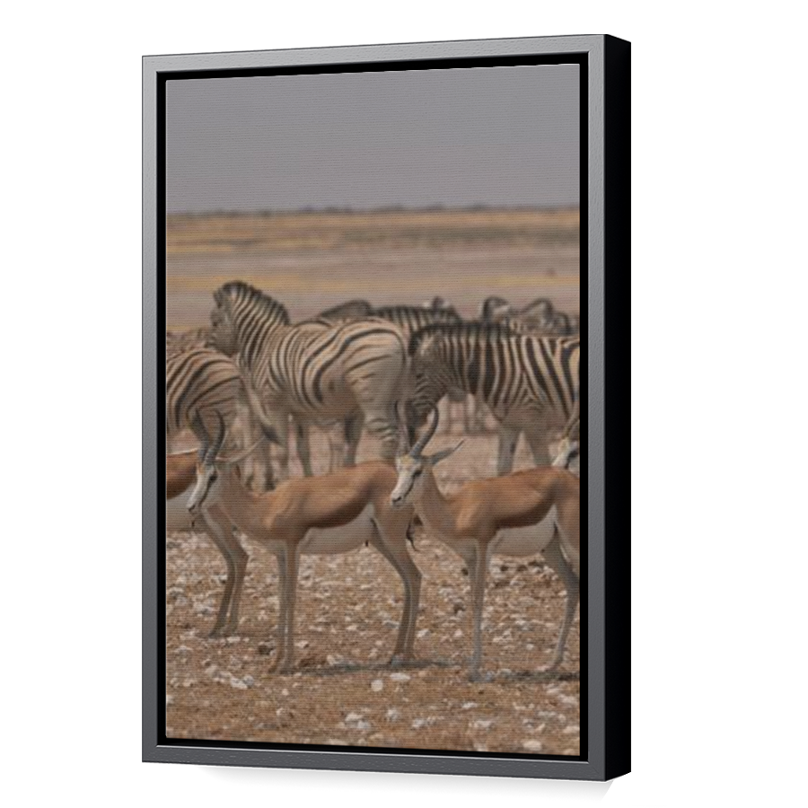 Thumbnail for Canvas - Black Floating Frame