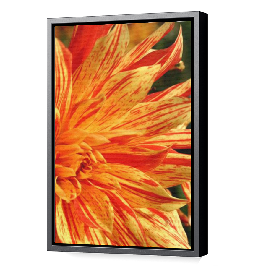 Thumbnail for Canvas - Black Floating Frame