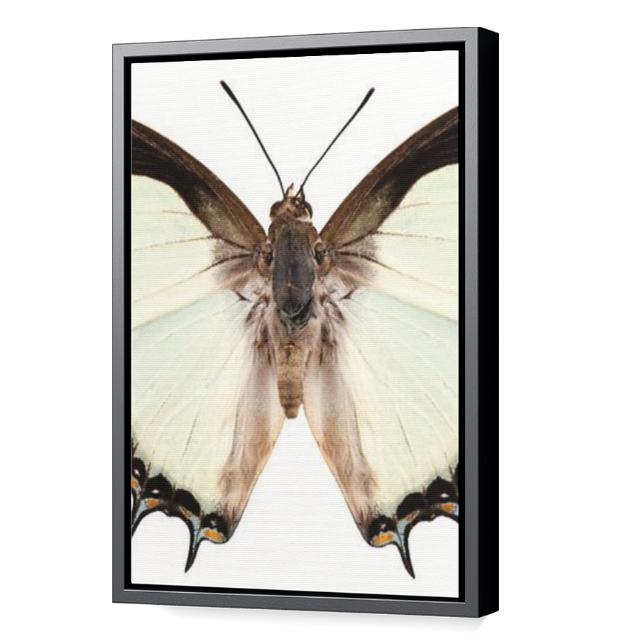 Thumbnail for Canvas - Black Floating Frame