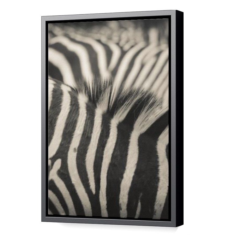 Thumbnail for Canvas - Black Floating Frame