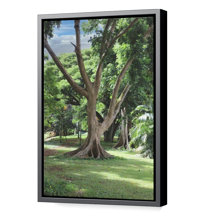 Thumbnail for Canvas - Black Floating Frame