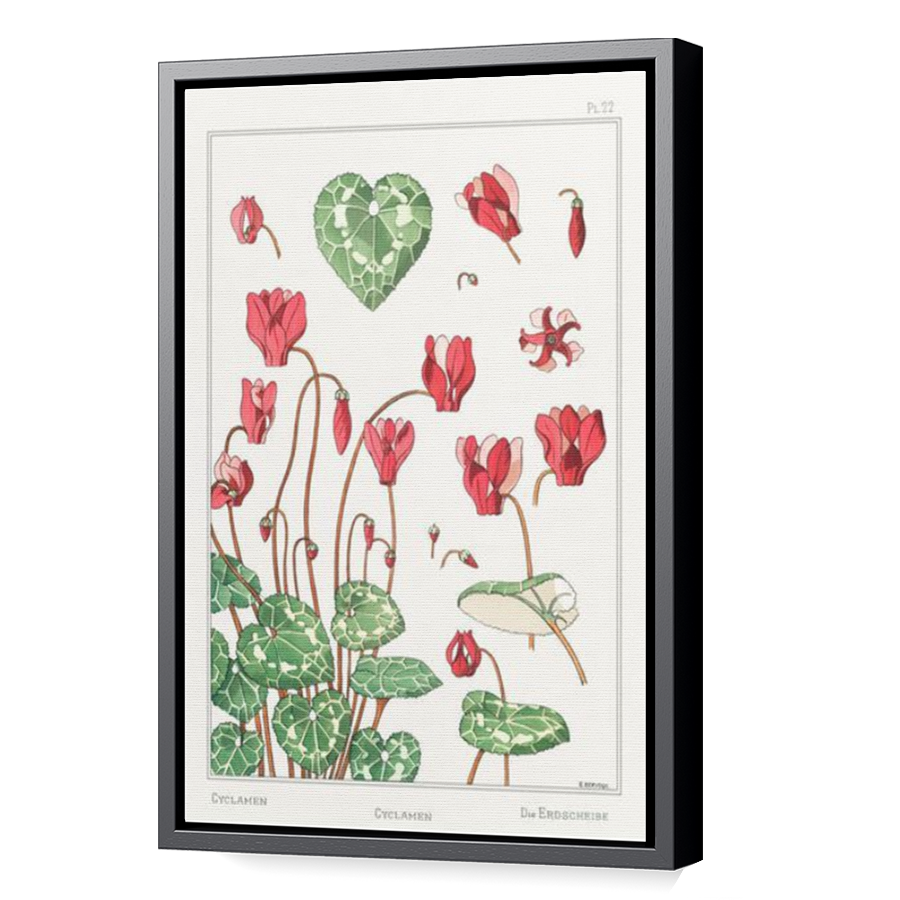 Thumbnail for Canvas - Black Floating Frame