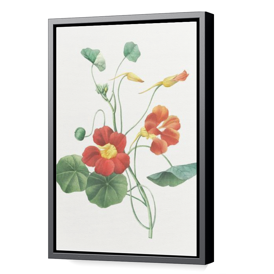 Thumbnail for Canvas - Black Floating Frame