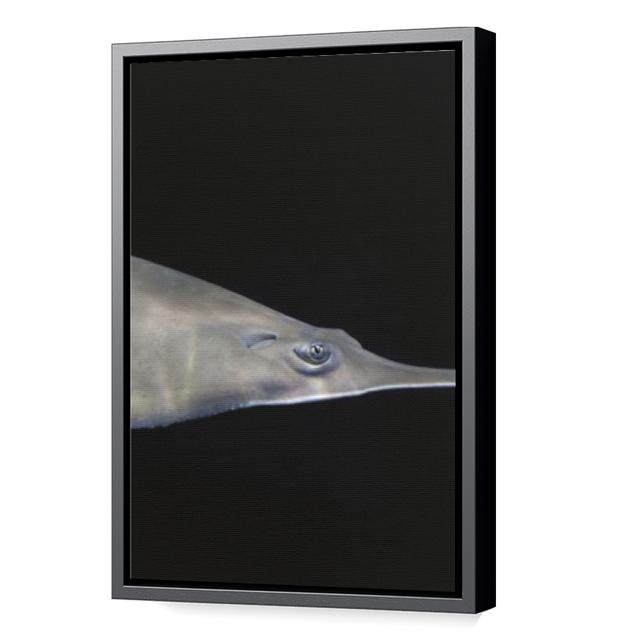 Thumbnail for Canvas - Black Floating Frame