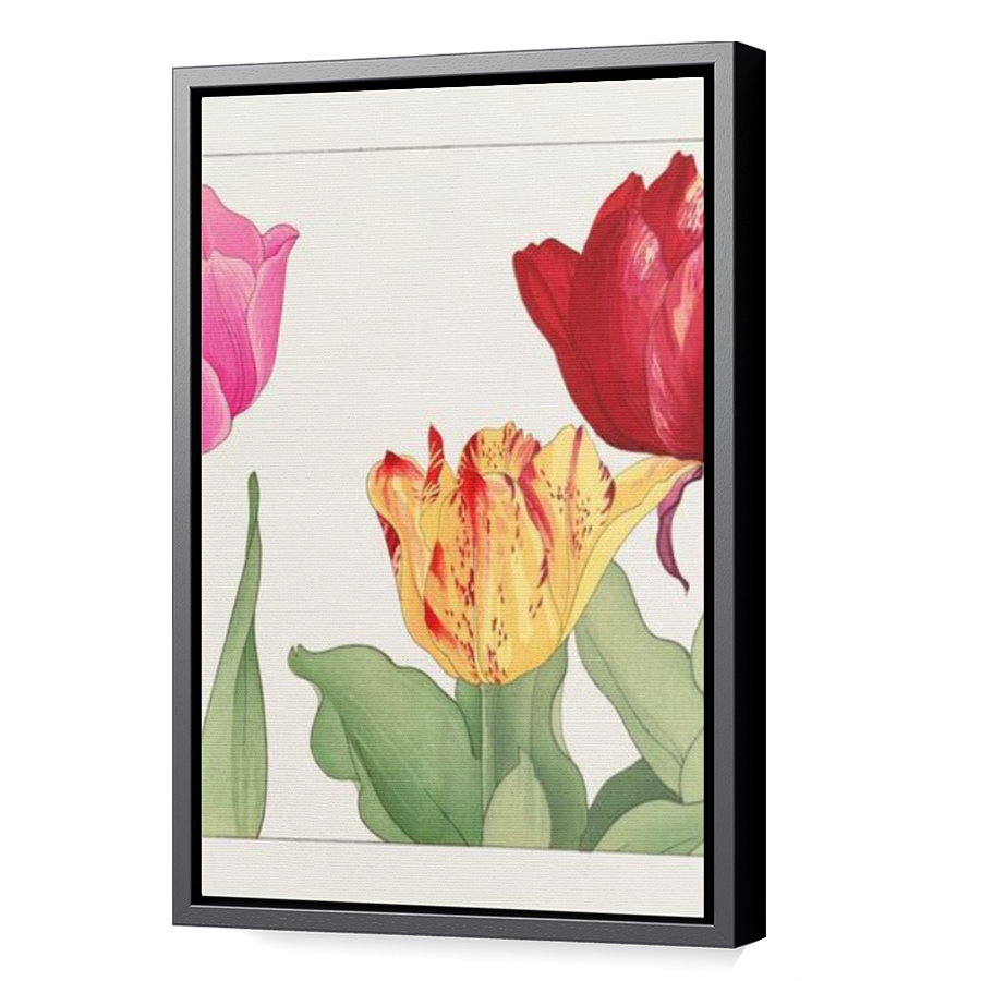 Thumbnail for Canvas - Black Floating Frame
