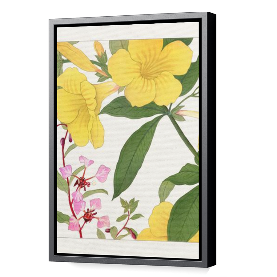 Thumbnail for Canvas - Black Floating Frame