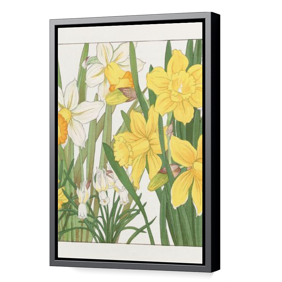 Thumbnail for Canvas - Black Floating Frame