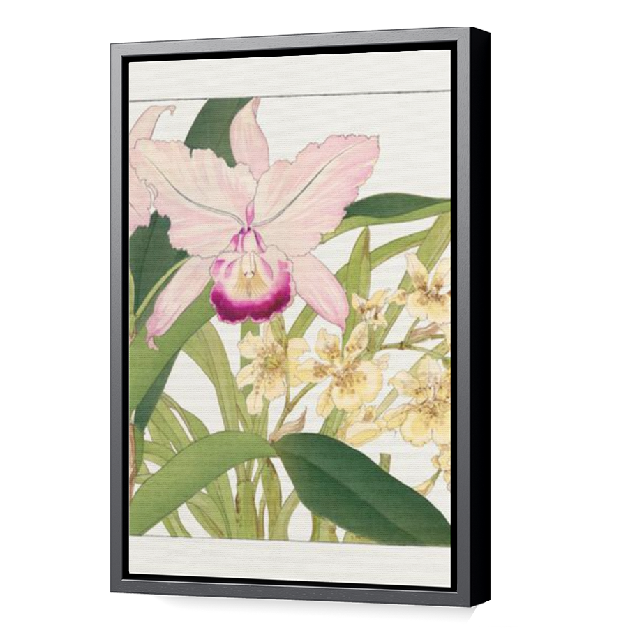 Thumbnail for Canvas - Black Floating Frame