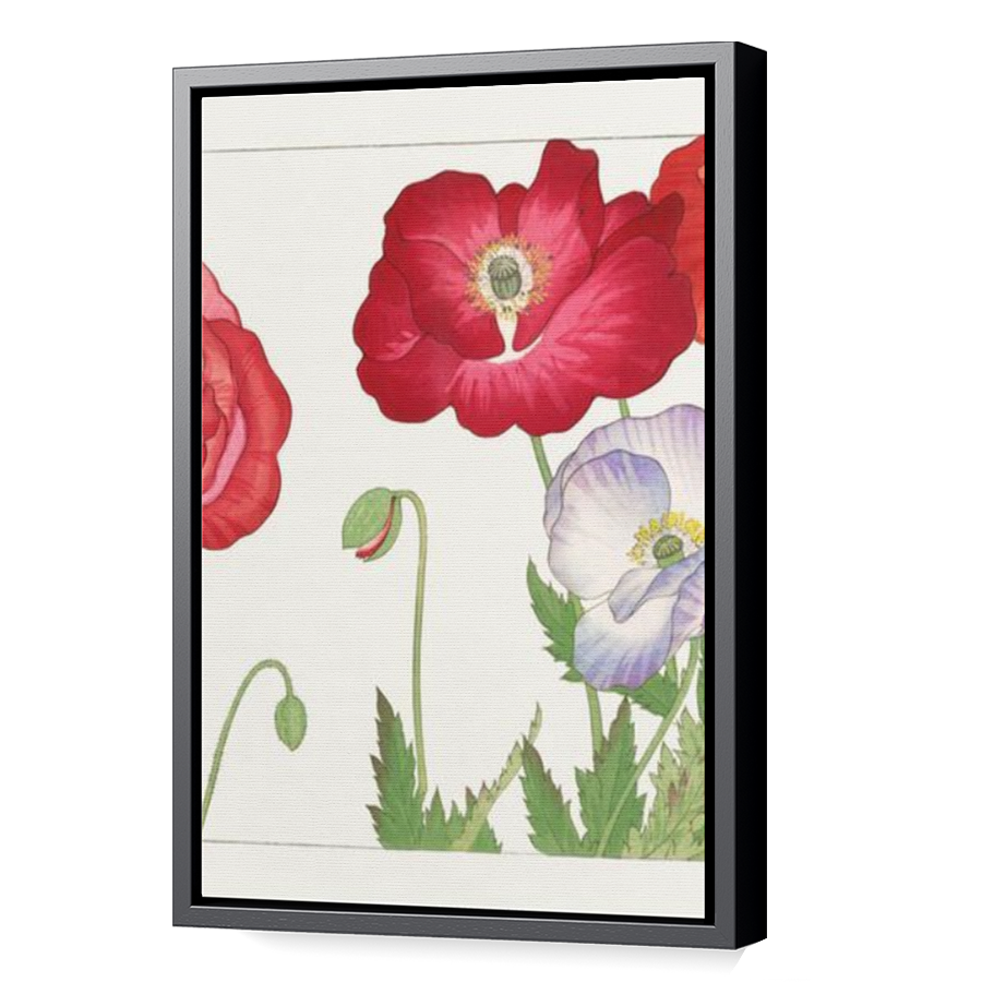 Thumbnail for Canvas - Black Floating Frame