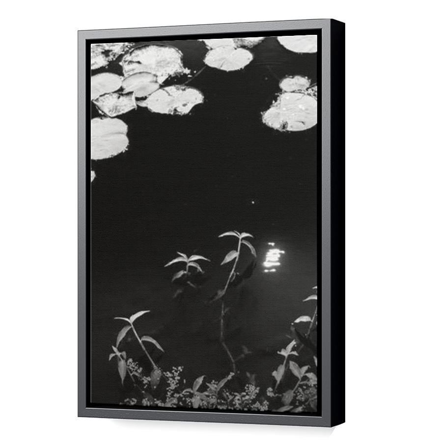 Thumbnail for Canvas - Black Floating Frame