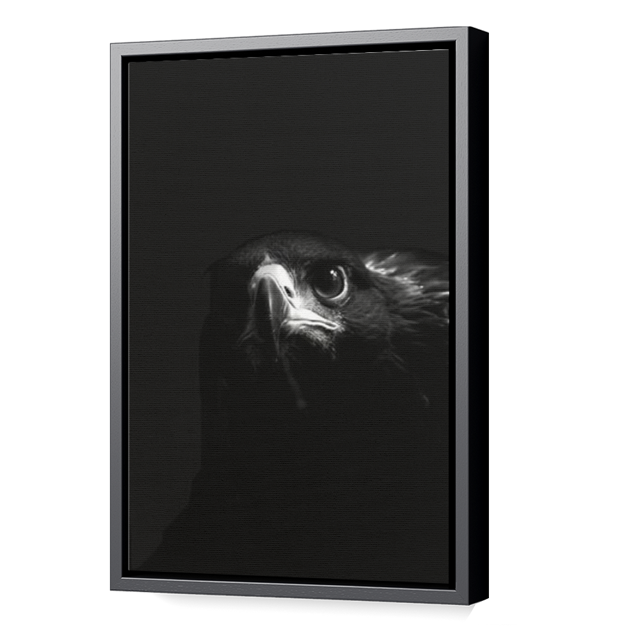 Thumbnail for Canvas - Black Floating Frame