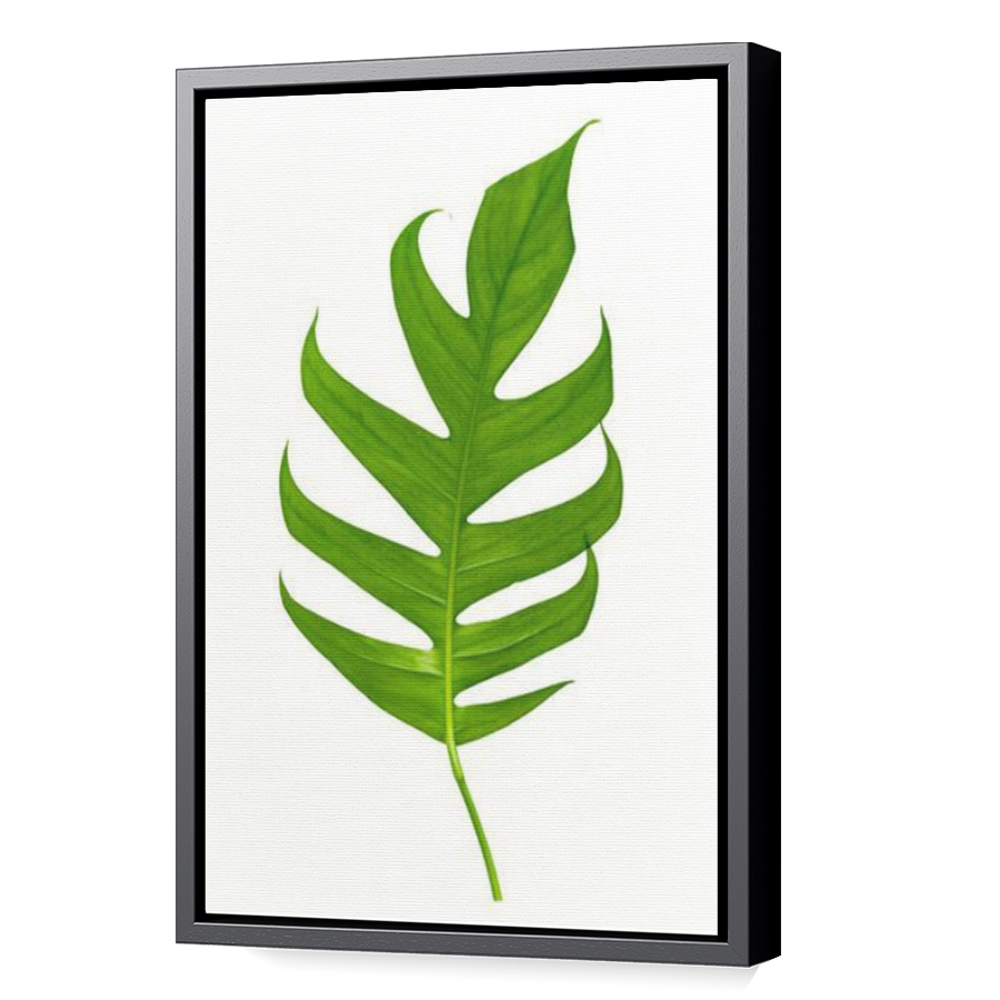 Thumbnail for Canvas - Black Floating Frame