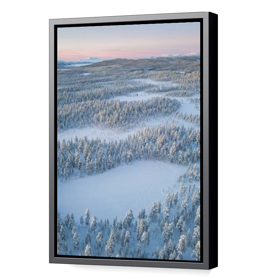 Thumbnail for Canvas - Black Floating Frame