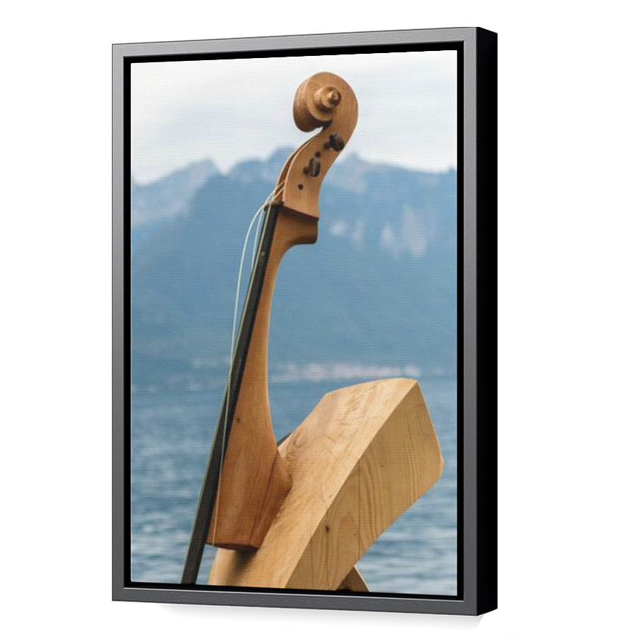 Thumbnail for Canvas - Black Floating Frame