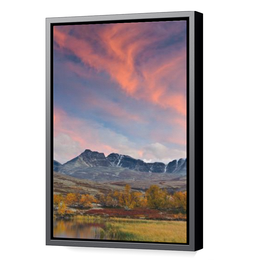 Thumbnail for Canvas - Black Floating Frame