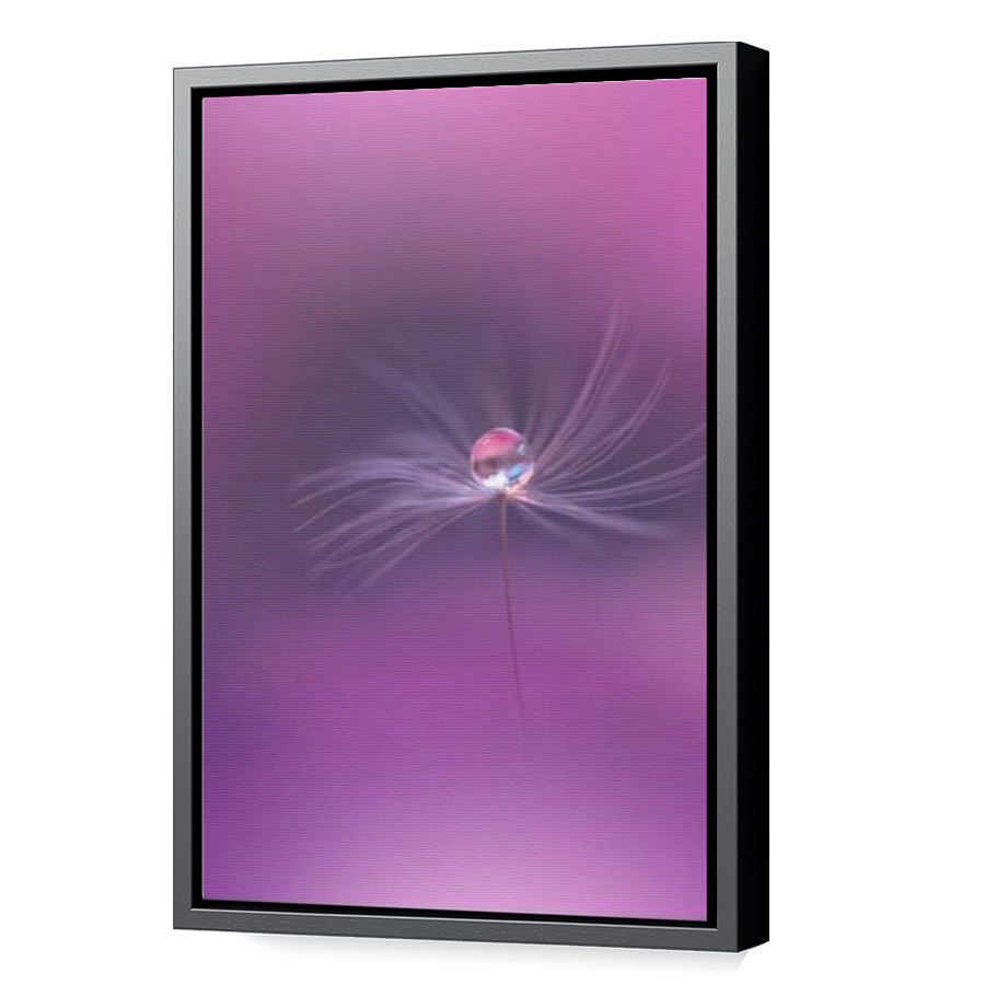 Thumbnail for Canvas - Black Floating Frame