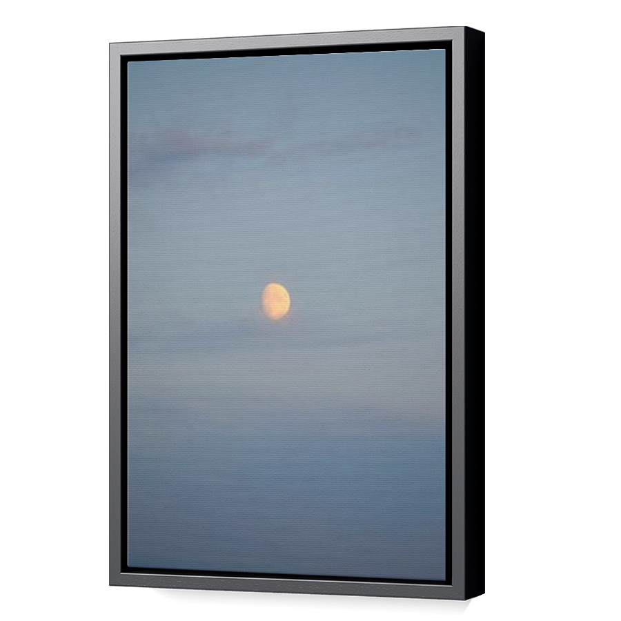Thumbnail for Canvas - Black Floating Frame