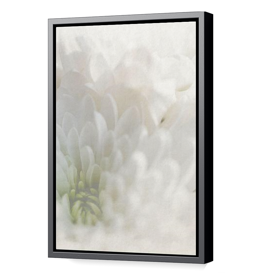 Thumbnail for Canvas - Black Floating Frame