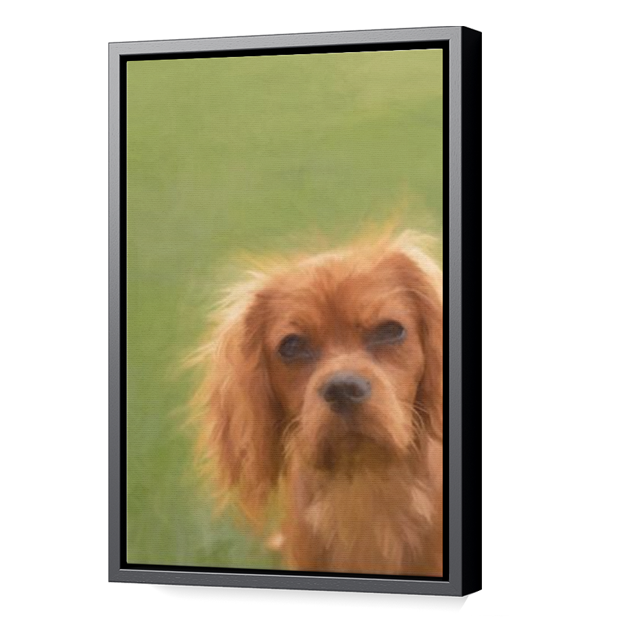 Thumbnail for Canvas - Black Floating Frame