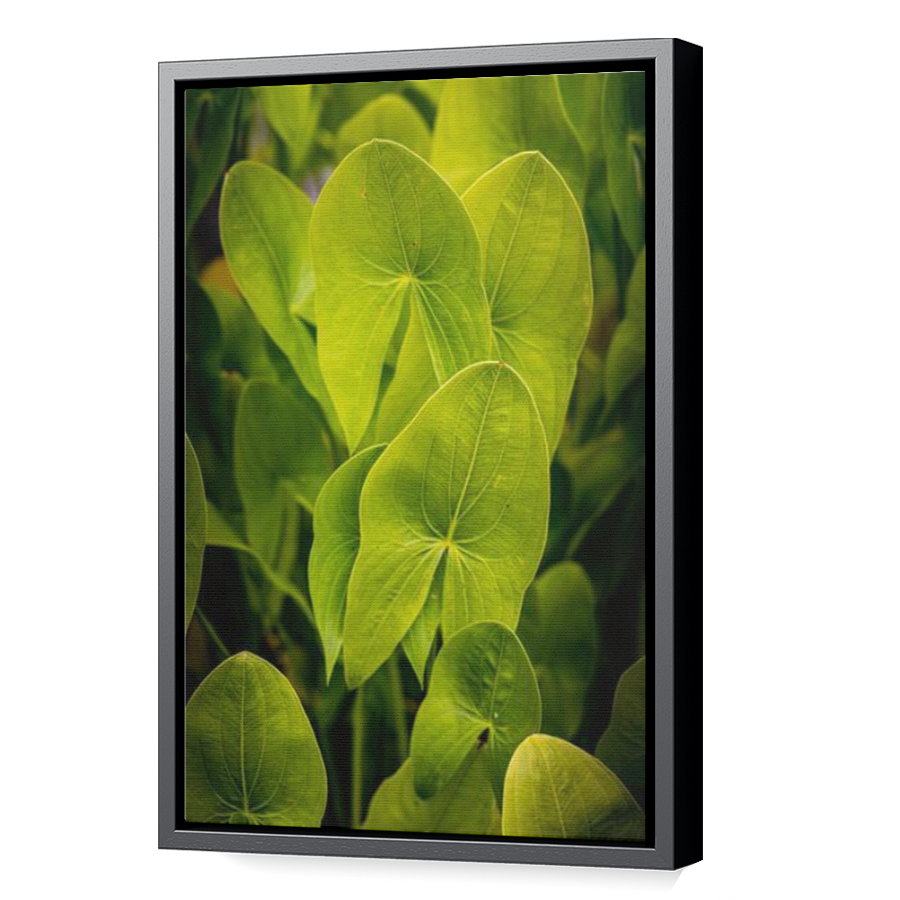 Thumbnail for Canvas - Black Floating Frame