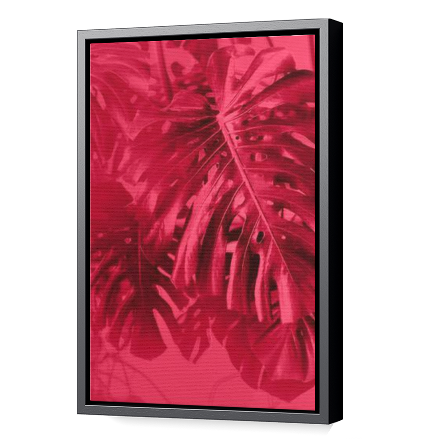 Thumbnail for Canvas - Black Floating Frame