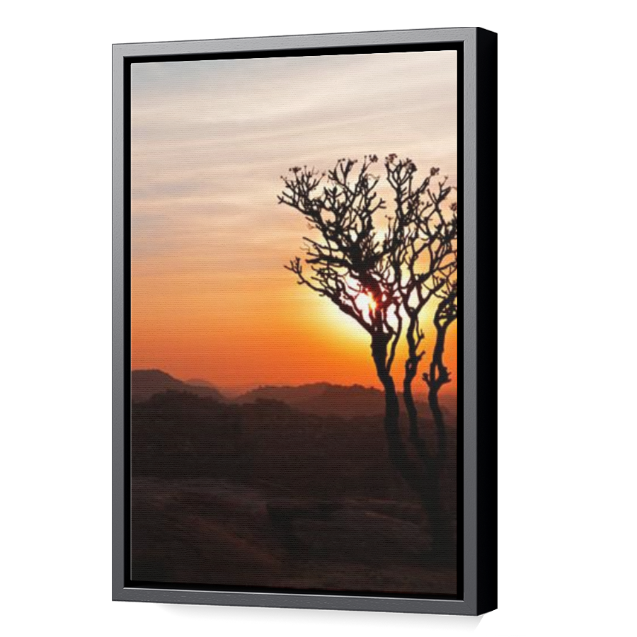 Thumbnail for Canvas - Black Floating Frame