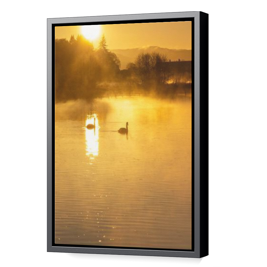 Thumbnail for Canvas - Black Floating Frame