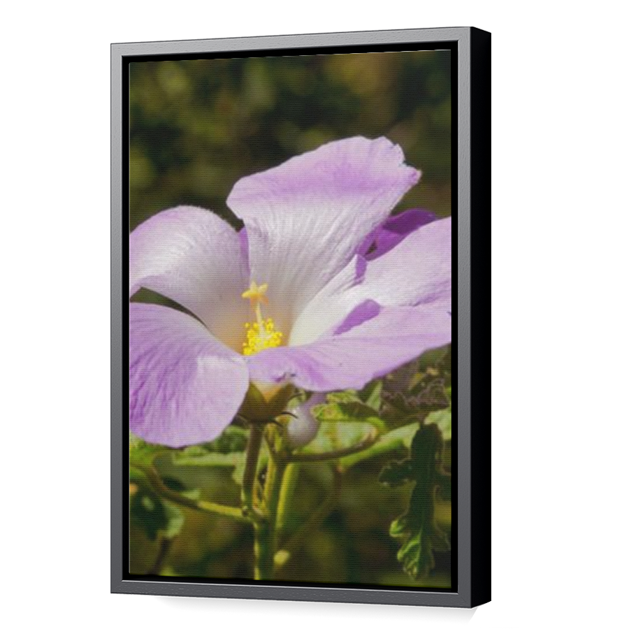 Thumbnail for Canvas - Black Floating Frame