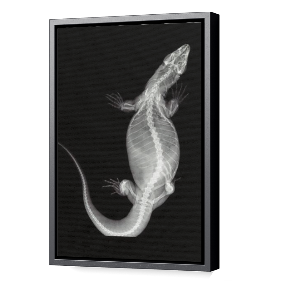 Thumbnail for Canvas - Black Floating Frame