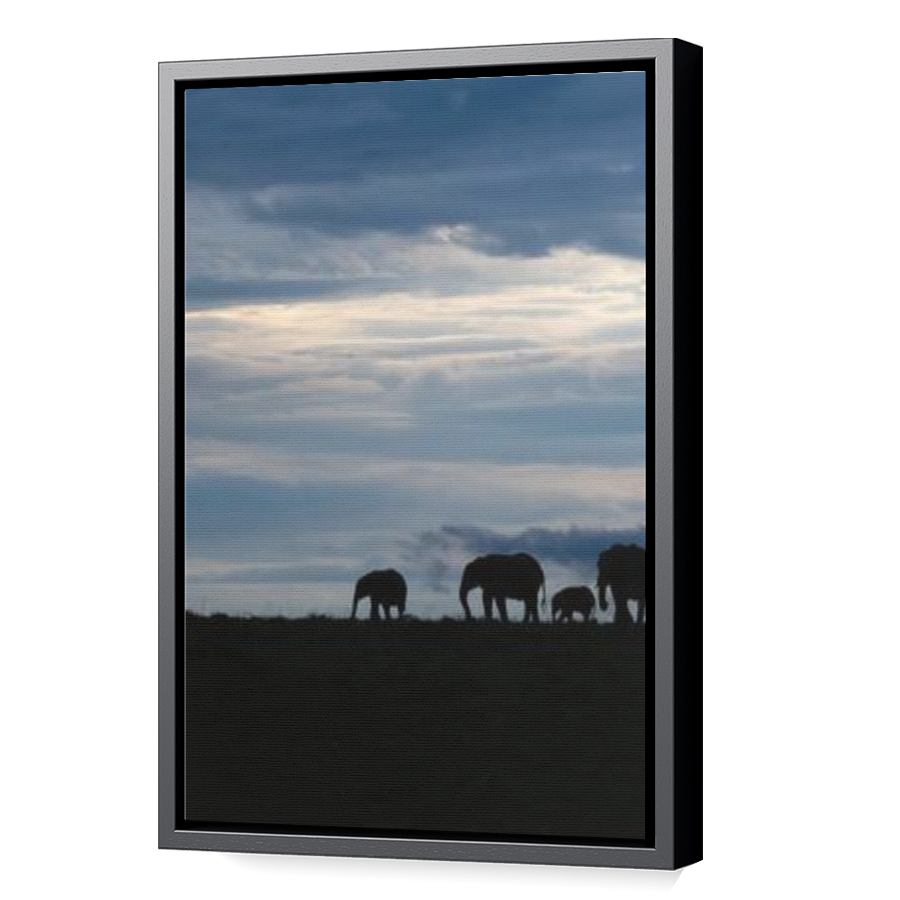 Thumbnail for Canvas - Black Floating Frame